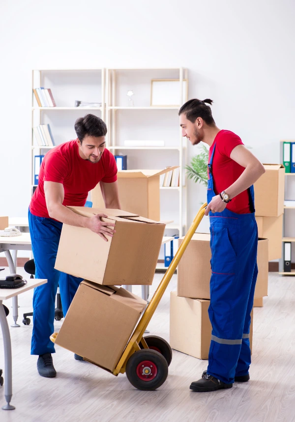 شركة نقل اثاث الشارقة 