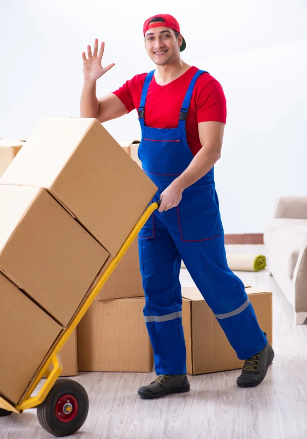 نقل اثاث عجمان